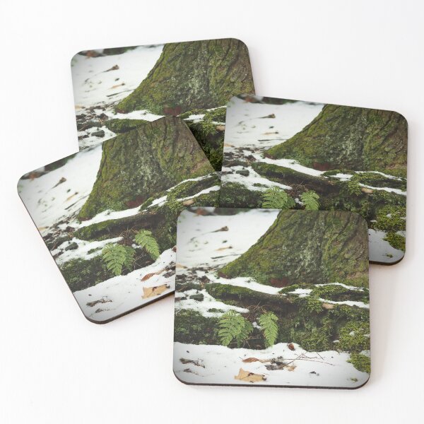 Item preview, Mossy Tree Roots & Ferns designed and sold by BeautyInQuietPlaces.