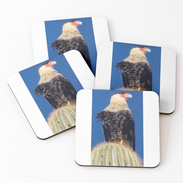 Item preview, Crested Caracara designed and sold by Fatboy0699.
