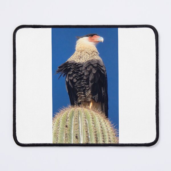Item preview, Crested Caracara designed and sold by Fatboy0699.