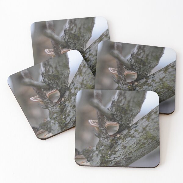 Item preview, Tree Hugger designed and sold by TrailsideWonder.