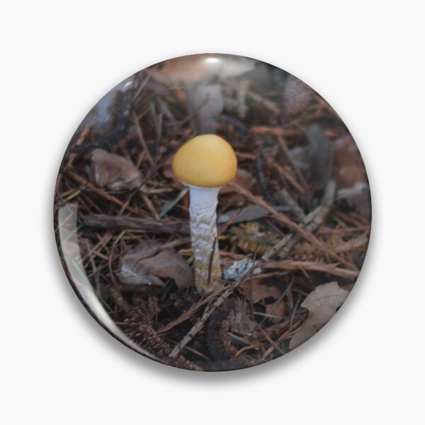 Item preview, Golden Child designed and sold by TrailsideWonder.