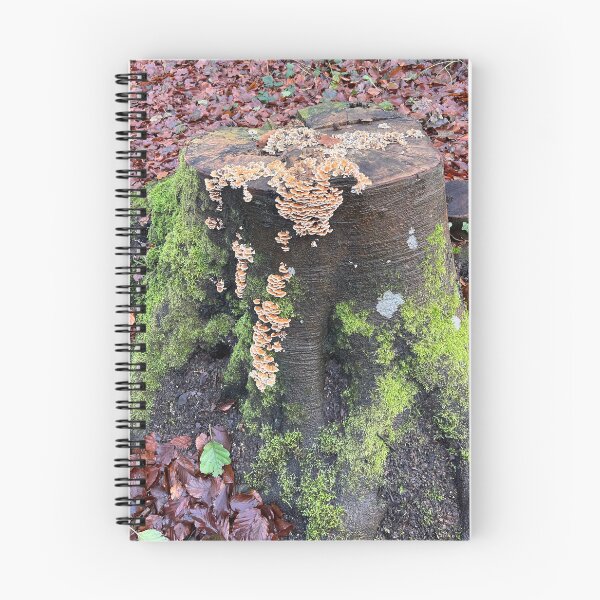 Item preview, Shrooms on a Log designed and sold by Tiggeruma.