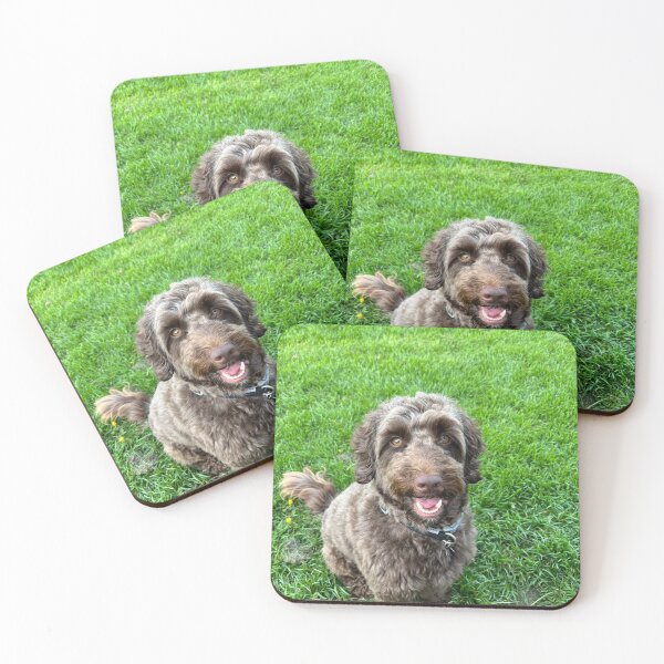 Item preview, Star the Cockerpoo designed and sold by Tiggeruma.