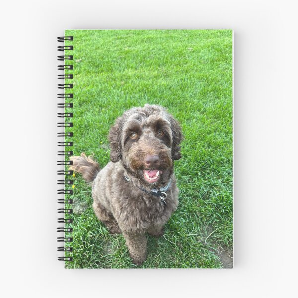 Item preview, Star the Cockerpoo designed and sold by Tiggeruma.