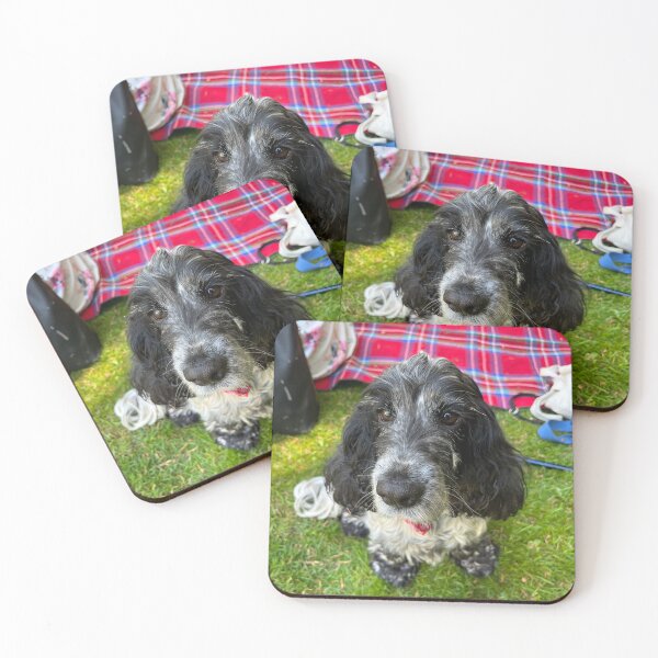 Item preview, Gina the Spaniel designed and sold by Tiggeruma.