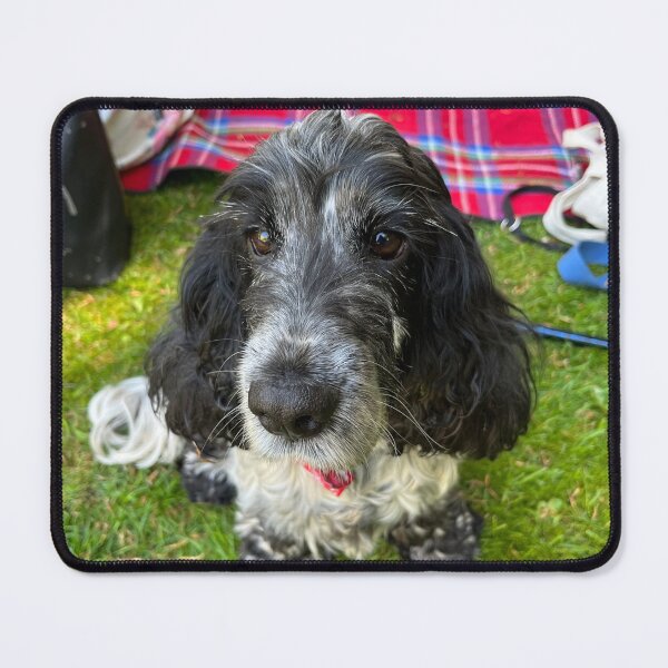 Item preview, Gina the Spaniel designed and sold by Tiggeruma.