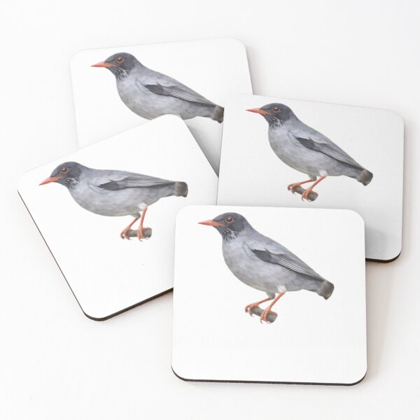 Item preview, Red-legged Thrush (Turdus plumbeus) designed and sold by HOMETOWN86.