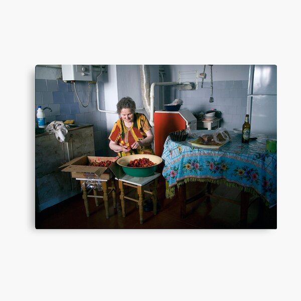 Cleaning Strawberries Canvas Print