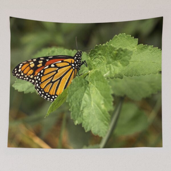 Item preview, Perched on a bed of green designed and sold by Joel Bader.