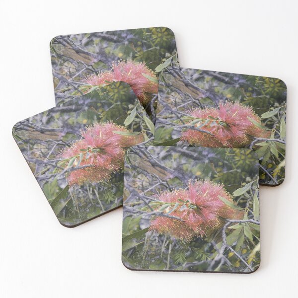 Item preview, Australian Bottlebrush Botanical Art With Flow and Movement designed and sold by Michael van der Hoorn.