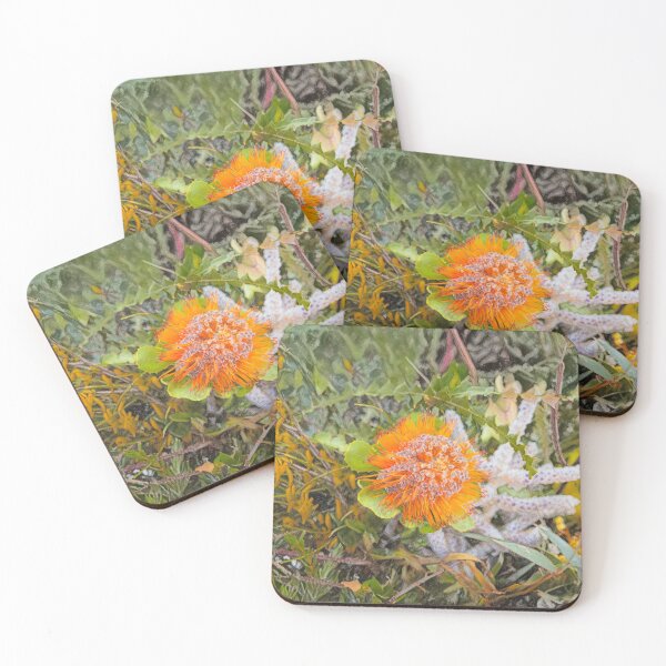 Item preview, Australian Banksia Botanical Art With Natural Flow designed and sold by Michael van der Hoorn.
