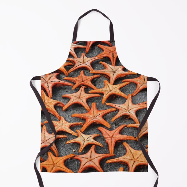 Item preview, Vietnamese sun-drying starfish designed and sold by franck380.