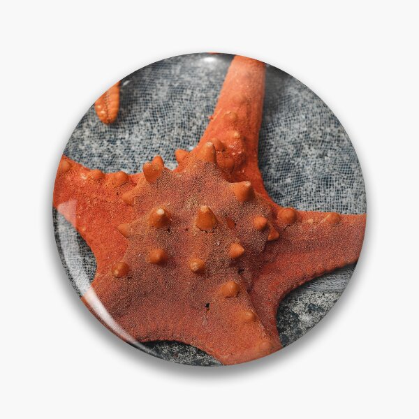 Item preview, Details and textures of starfish designed and sold by franck380.