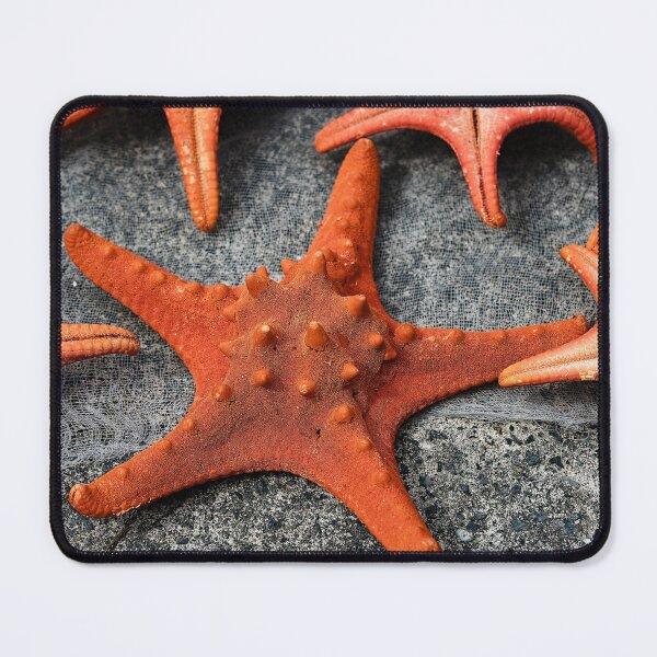 Item preview, Details and textures of starfish designed and sold by franck380.
