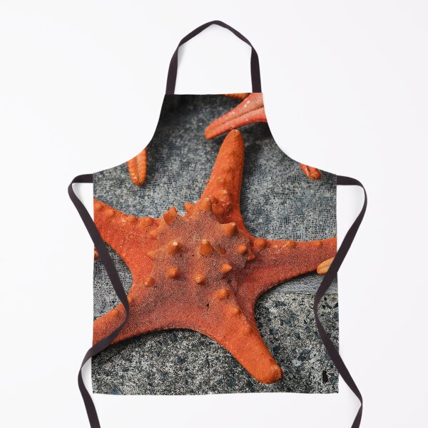 Item preview, Details and textures of starfish designed and sold by franck380.