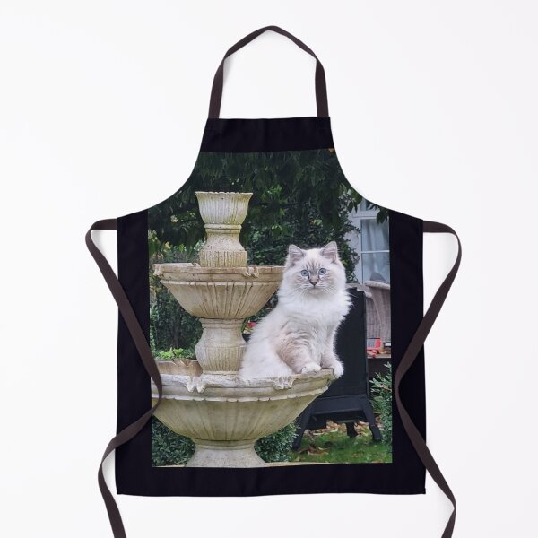 Item preview, Beautiful Ragdoll cat on water feature designed and sold by aligata1970.