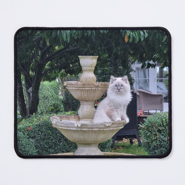 Item preview, Spot the pretty little cat designed and sold by aligata1970.