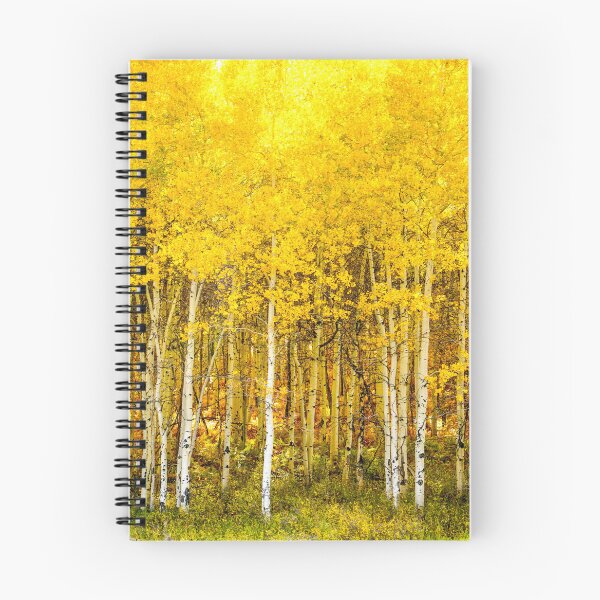 Artikelvorschau, Herbst in Colorado entworfen und verkauft von Brad Bugara.