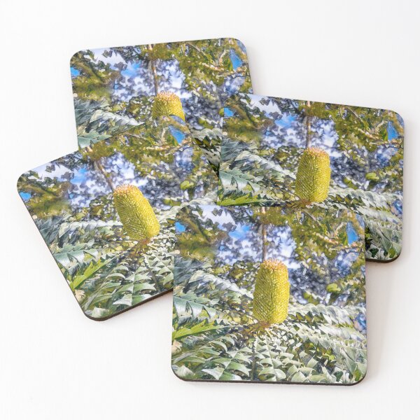 Item preview, Australian Banksia Cone Botanical Art With Natural Flow designed and sold by Michael van der Hoorn.