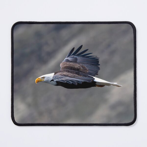 Item preview, Piercing Stare designed and sold by DawsonImages.