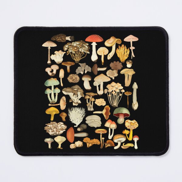 Item preview, Mycology Foraging Mushroom Chart designed and sold by csshowsearesr.