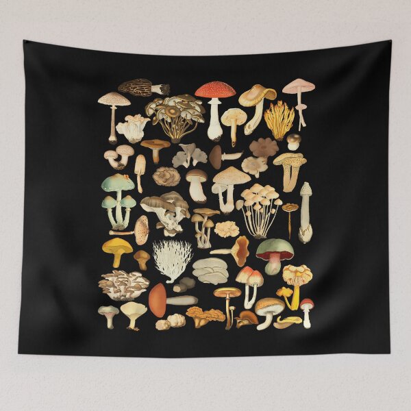 Item preview, Mycology Foraging Mushroom Chart designed and sold by csshowsearesr.