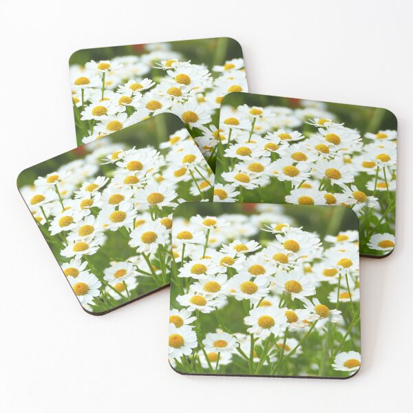 Item preview, Cottage garden white and yellow daisies designed and sold by jaynerushton.