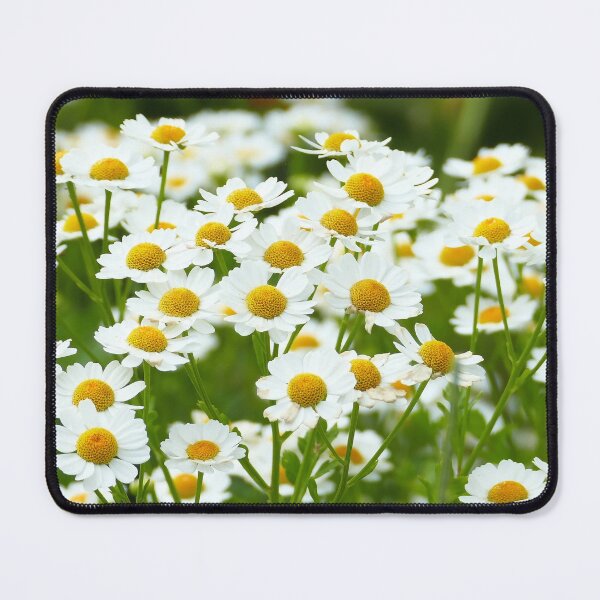 Item preview, Cottage garden white and yellow daisies designed and sold by jaynerushton.