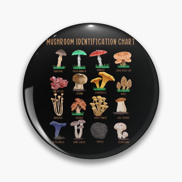Aperçu de l'œuvre Classification des champignons - Tableau mycologique créée et vendue par gaelaedanesaa.