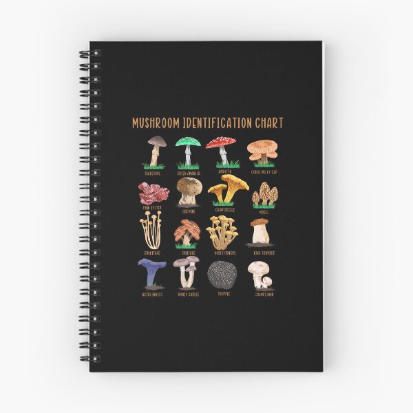 Item preview, Mushroom Classification Types Mycology Chart designed and sold by gaelaedanesaa.
