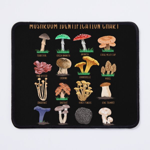 Item preview, Mushroom Classification Types Mycology Chart designed and sold by gaelaedanesaa.