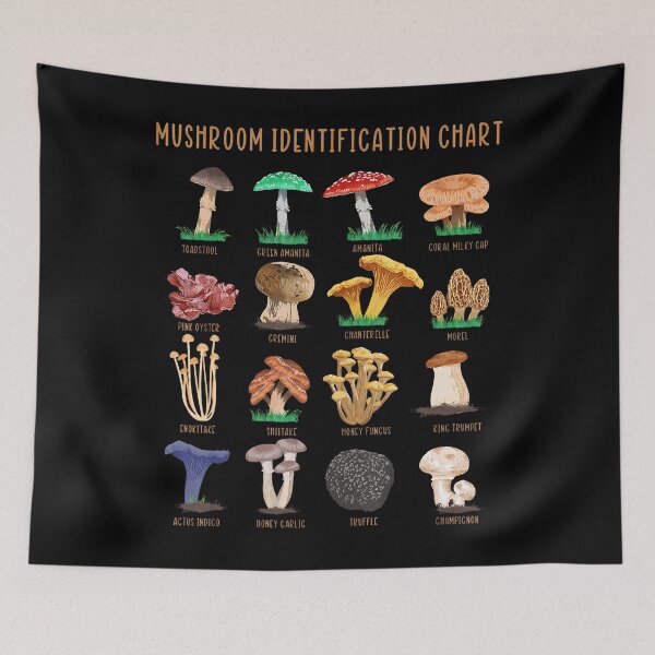 Aperçu de l'œuvre Classification des champignons - Tableau mycologique créée et vendue par gaelaedanesaa.