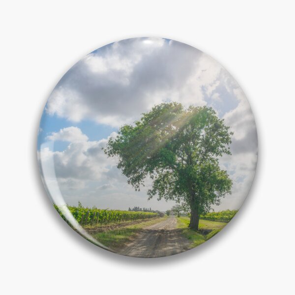 Item preview, Country road and a tree among the vineyards of Bolgheri, Italy designed and sold by Stefano Orazzini.
