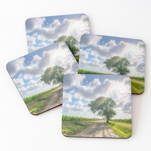 Item preview, Country road and a tree among the vineyards of Bolgheri, Italy designed and sold by Stefano Orazzini.