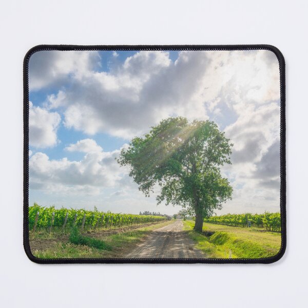 Item preview, Country road and a tree among the vineyards of Bolgheri, Italy designed and sold by Stefano Orazzini.