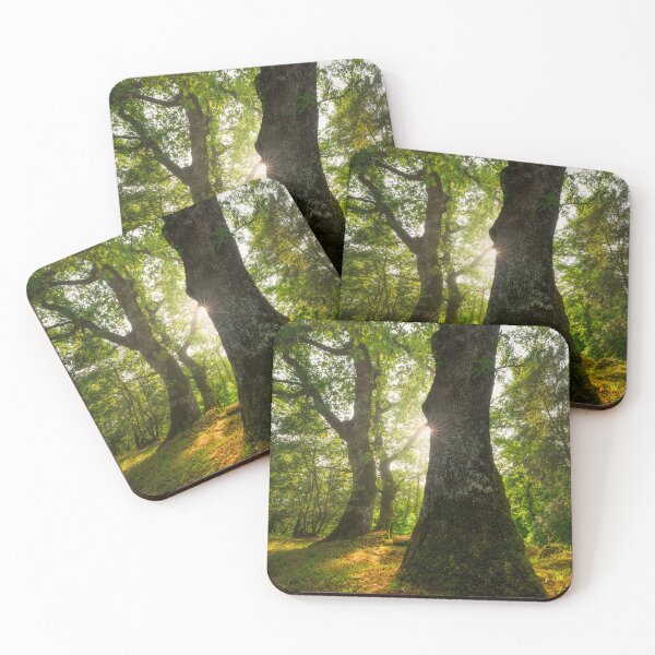 Item preview, Trees in old forest in Sorano, Tuscany designed and sold by Stefano Orazzini.