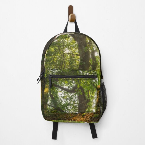 Item preview, Trees in old forest in Sorano, Tuscany designed and sold by Stefano Orazzini.