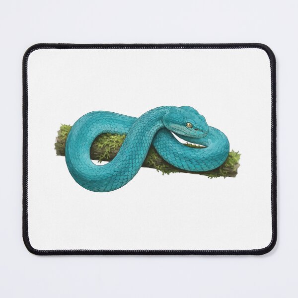 Item preview, Blue Insularis – Realistic Blue Pit Viper Scientific Illustration designed and sold by Petzzz.