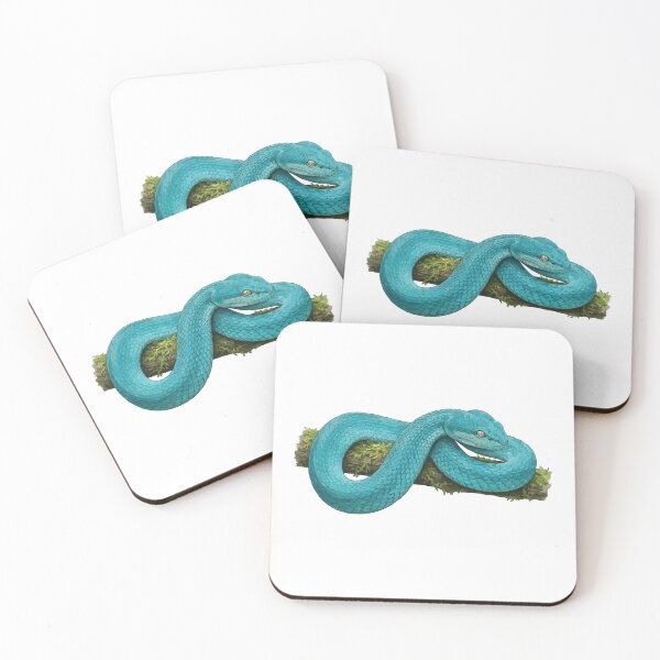 Item preview, Blue Insularis – Realistic Blue Pit Viper Scientific Illustration designed and sold by Petzzz.