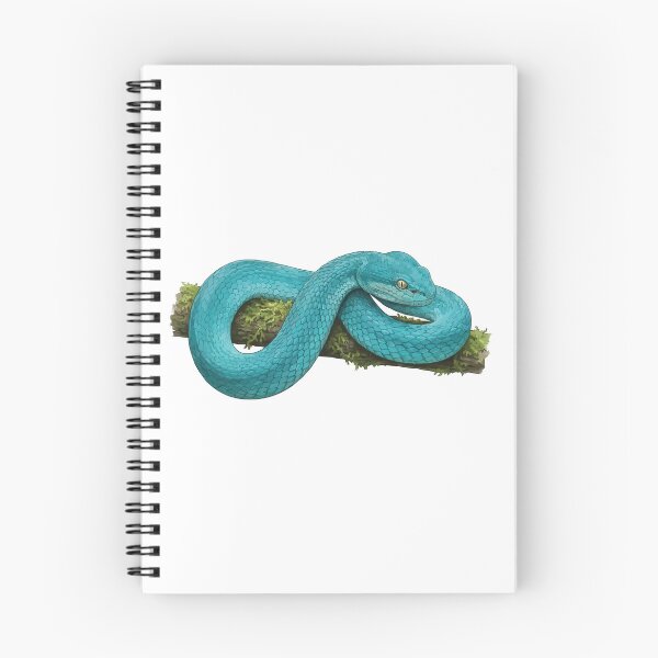 Item preview, Blue Insularis – Realistic Blue Pit Viper Scientific Illustration designed and sold by Petzzz.