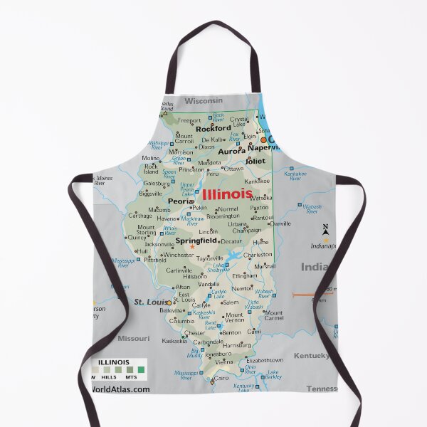 Item preview, State of Illinois Map – Chicago, Springfield & Beyond designed and sold by WorldAtlas.com.