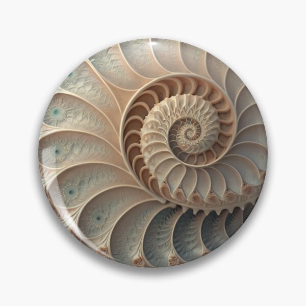 Aperçu de l'œuvre revealed a spiral créée et vendue par CurvedRealities.