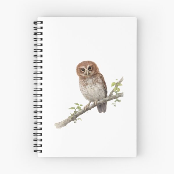 Item preview, Puerto Rican Screech-Owl (Megascops nudipes) designed and sold by HOMETOWN86.
