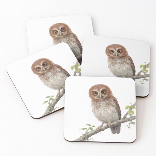 Item preview, Puerto Rican Screech-Owl (Megascops nudipes) designed and sold by HOMETOWN86.