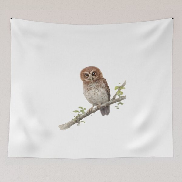 Item preview, Puerto Rican Screech-Owl (Megascops nudipes) designed and sold by HOMETOWN86.