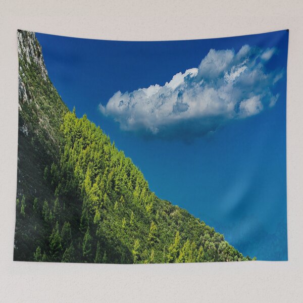 Item preview, Color Print, Lone Cloud over the Pine Slope designed and sold by IdoFriedmanArt.