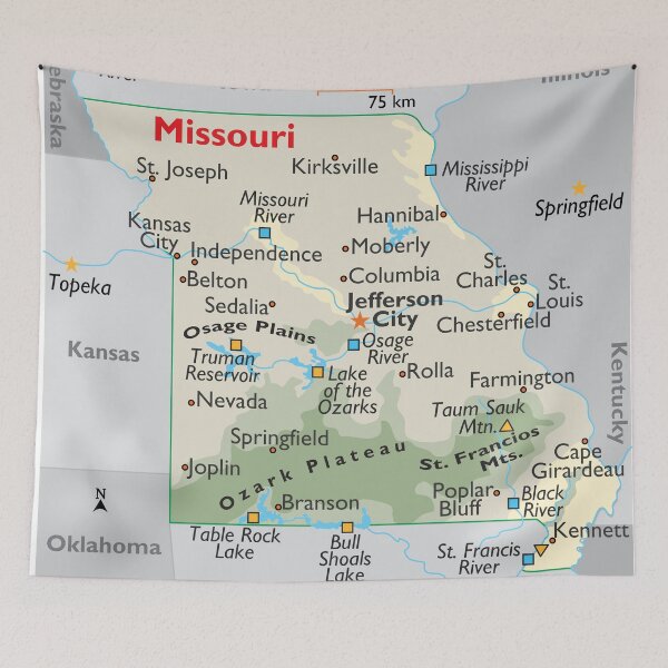 Item preview, Detailed Missouri Geography Map designed and sold by WorldAtlas.com.