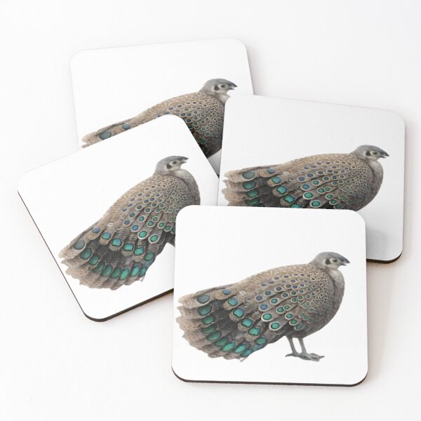 Item preview, Malaysian Peacock-Pheasant (Polyplectron malacense) designed and sold by HOMETOWN86.