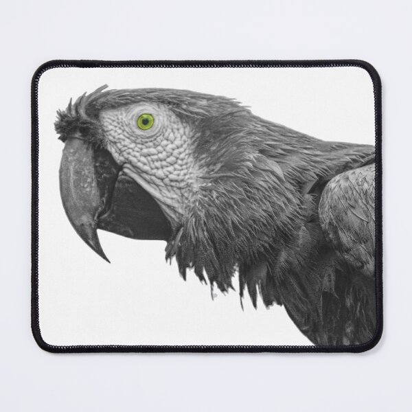 Item preview, Scarlet Macaw retro black and white designed and sold by ChimaHome.