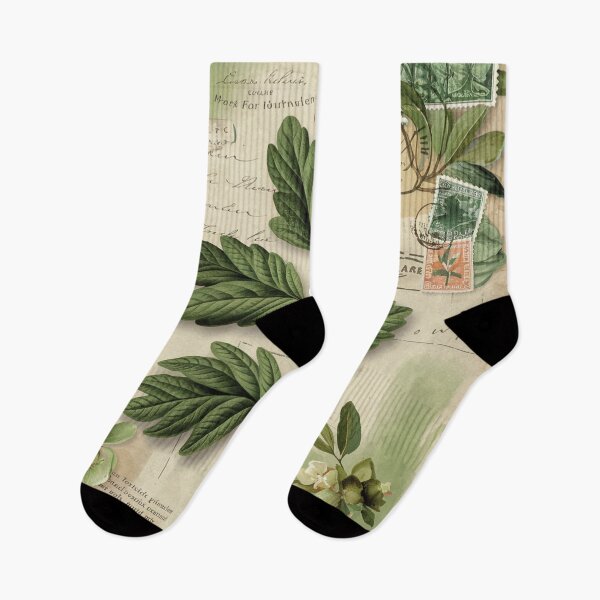 Item preview, Vintage Botanical Fern Journal Illustration designed and sold by CharlieDesings.